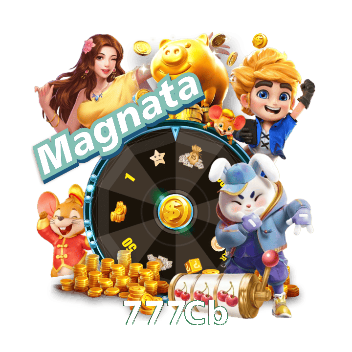 777Cb interface sample